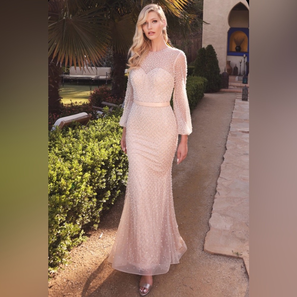 Pearl Sheer Sleeve Trumpet Gown By Andrea And Leo Couture